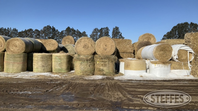 (12 Bales) 5x5.5 rounds